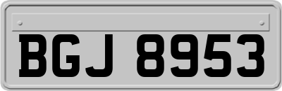BGJ8953