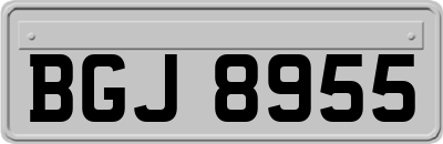 BGJ8955