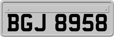 BGJ8958