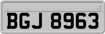 BGJ8963
