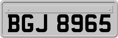 BGJ8965