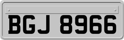 BGJ8966