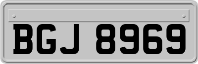 BGJ8969