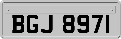 BGJ8971
