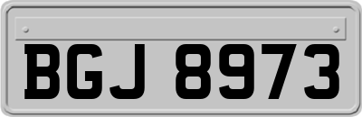 BGJ8973