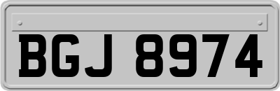 BGJ8974
