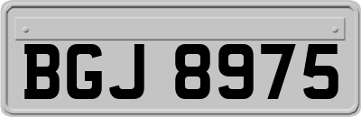 BGJ8975