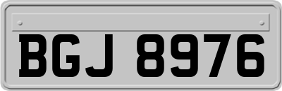 BGJ8976