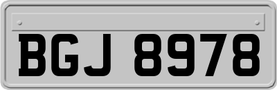 BGJ8978