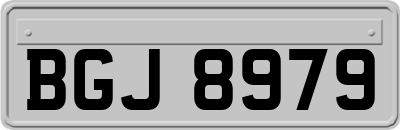 BGJ8979