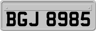 BGJ8985