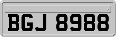 BGJ8988