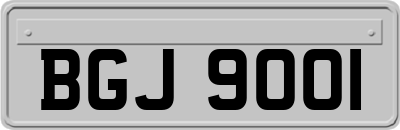 BGJ9001