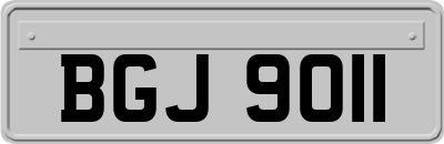 BGJ9011
