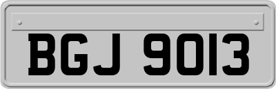 BGJ9013