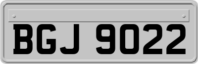 BGJ9022