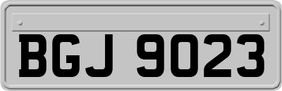 BGJ9023