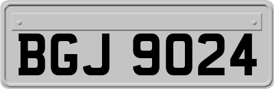 BGJ9024