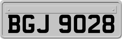 BGJ9028