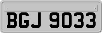 BGJ9033
