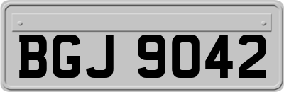 BGJ9042