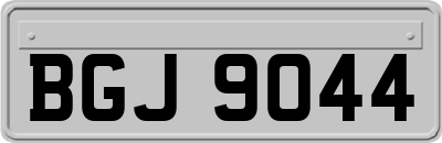 BGJ9044