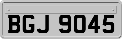 BGJ9045