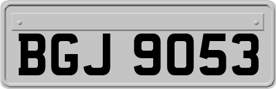 BGJ9053