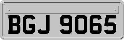 BGJ9065