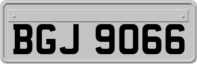 BGJ9066