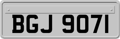 BGJ9071