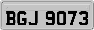 BGJ9073