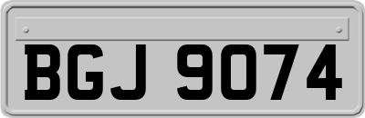 BGJ9074