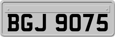 BGJ9075