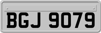 BGJ9079