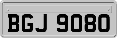 BGJ9080