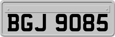 BGJ9085