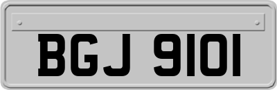 BGJ9101