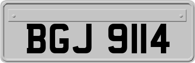 BGJ9114