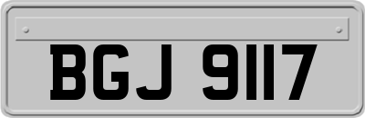 BGJ9117