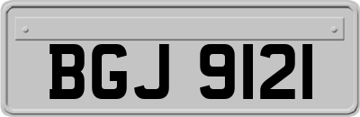 BGJ9121