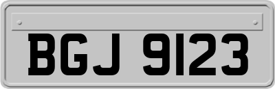 BGJ9123