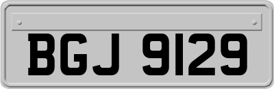 BGJ9129