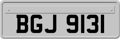 BGJ9131