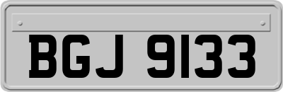 BGJ9133