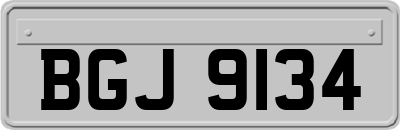 BGJ9134