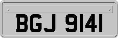 BGJ9141