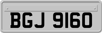 BGJ9160
