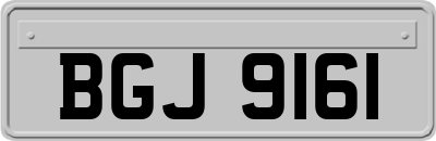 BGJ9161