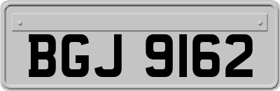 BGJ9162